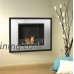 Ignis Bellezza Mini Recessed Ventless Ethanol Fireplace - B00AM21Y9W